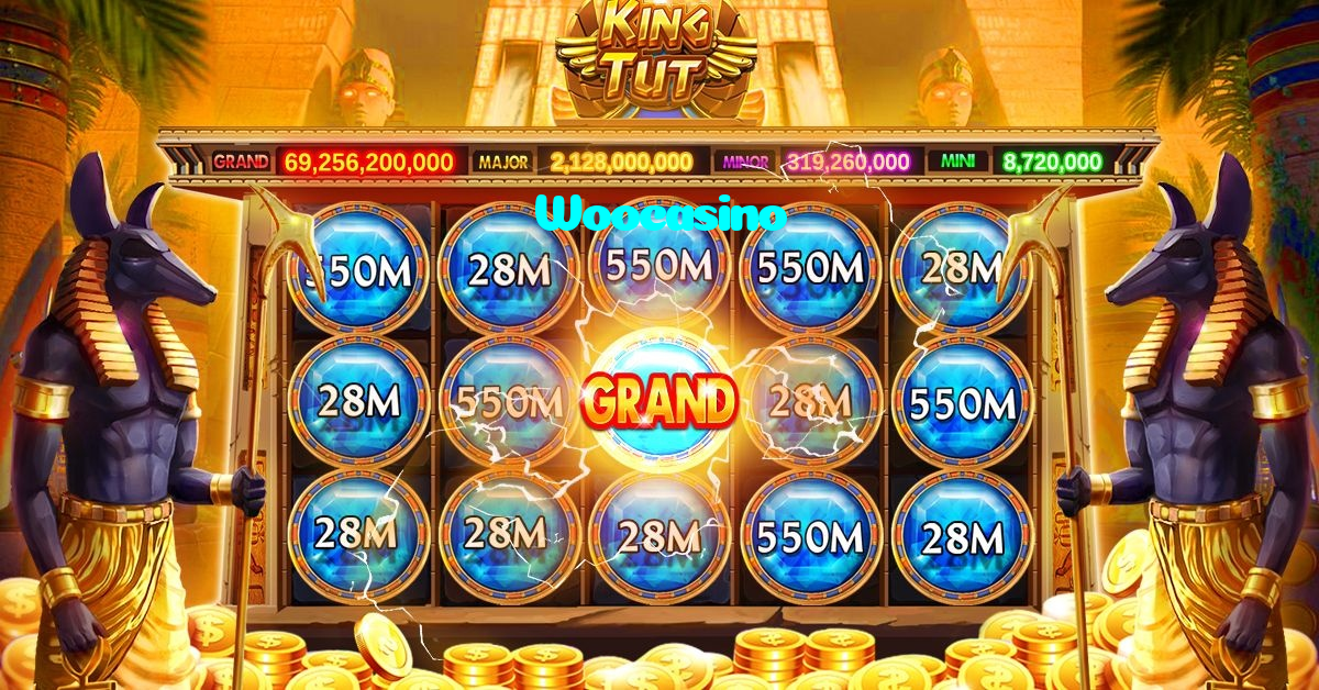 available types of Woocasino bet including pre-match live express and system bets